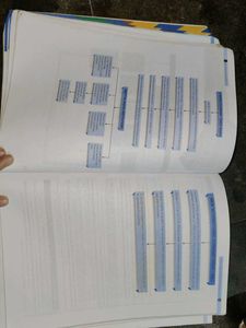Xamidea  Social Science (CBSE Class X)