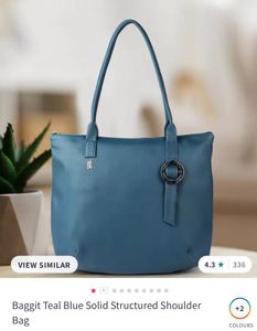 Baggit Handbag