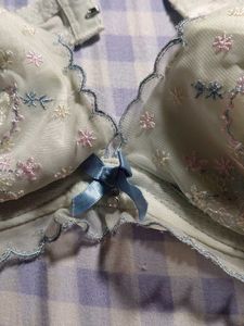 Sea Green Embroidered Bra