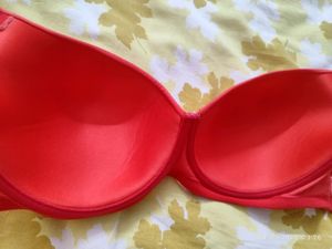 Zivame Backless Padded Bra Coral 36D