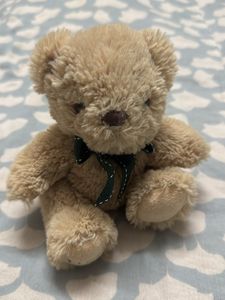Cute Small Teddy Bear