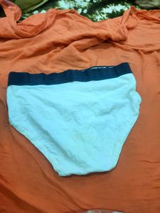 Calvin Klein Briefs
