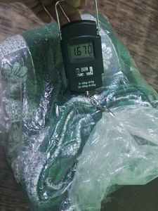 green double bed sheet