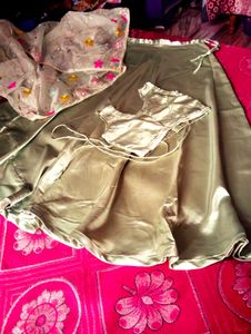 Elegant Gold Embroidered Lehenga Choli