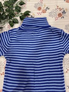 Blue Striped Sweatshirt