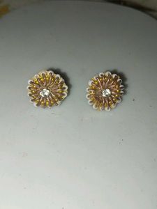 Exquisite Beaded Earrings