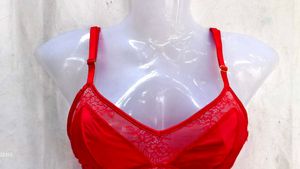 Elegant Red Lace Bralette