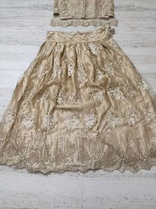 Elegant Embellished Lehenga Choli Set