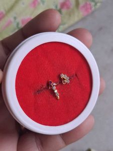 Elegant Nose Pins Set
