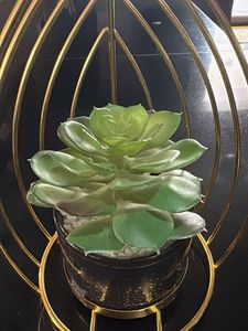 Modern Golden Metal Succulent Planter