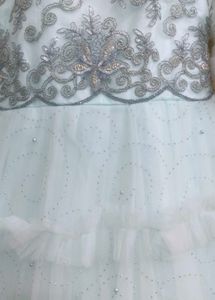 Stunning Mint Green Zardozi Gown with Dupatta