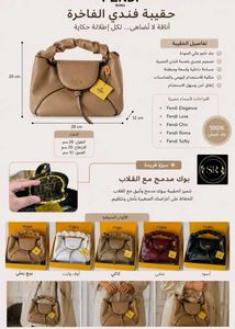 LATEST FENDI ROMA SPY MINI BAG*  WITHOUT BOX