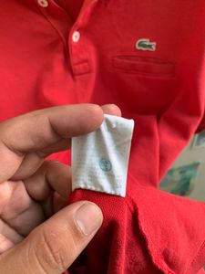 Red Lacoste Polo Shirt (PL521)