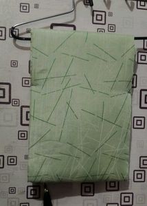 Elegant Pastel Green Saree