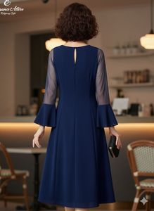 Elegant Navy Blue Sheer Sleeve Dress