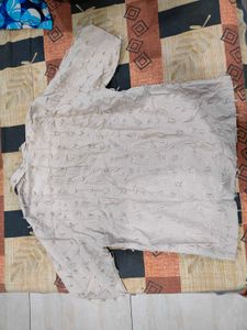 Zara Beige Distressed Top
