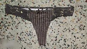 cotton thong panty