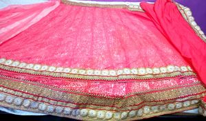 Beautiful Lehenga Saree