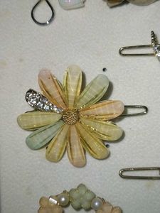 Hair Clips🌸