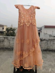 Peach Embroidered Net Lehenga Choli