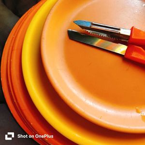 9 Vibrant Melamine Dinner Plates