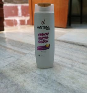 Pantene Shampoo