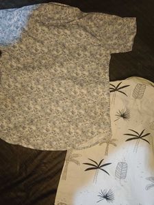 Pack of 3 shirt