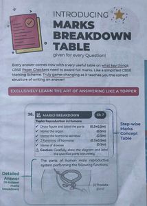 CBSE Class 10 Science Sample Papers 2025
