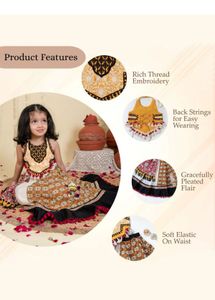 Embroidered Sleeveless Layered Lehenga Choli