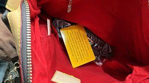 Louis Vuitton Handbag