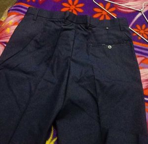 Formal Blue Pant For Men's