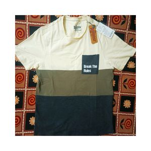 Roadster Men Beige Colourblocked Raw Edge T-shirt