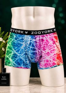 🇳🇿💫🎀ZOOYORK Men's Boxer Briefs - Vibrant Print