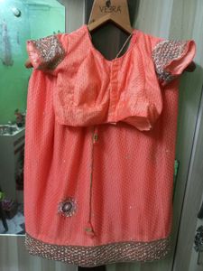Elegant Peach Saree with Embellishments