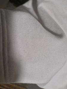 White Long Sleeve Top