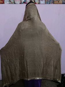 Women's Stylish Georgette Dupatta