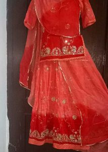 beautiful rajputi poshak