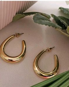 240.Chic Gold Hoop Earrings