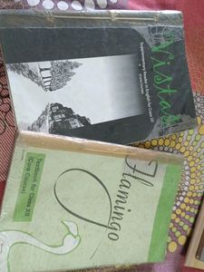 CBSE Class 12  NCERT Books
