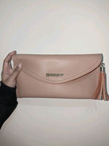 Branded New Cute Hand Purse