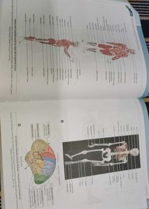 Applied Anatomy &amp; Physiology for Nurses Textbook