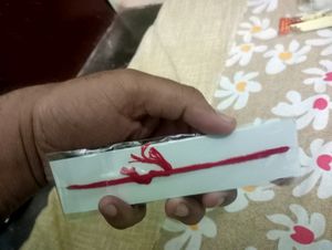Shree Rakhi