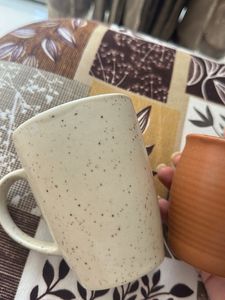 Combo of 2- Mugs and Kulhar Cup