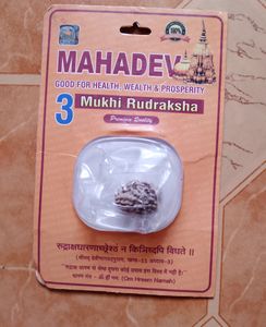 Rudraksha 3 Mukhi Original Lab Taste