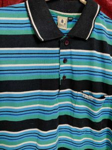 Striped Polo T- Shirt - Casual Cool
