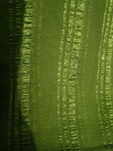 Green Embellished Saree