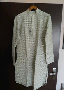 Men Embroidered Kurta Light Green