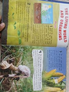 500 Facts Science Book