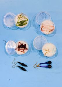 earring woman (pack of 16 )