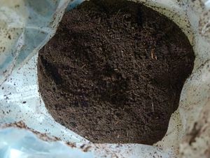 Organic Vermi compost With Worms 🐛